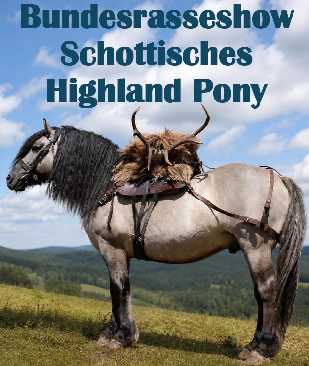 Bundesrasseshow Schottisches Highland Pony