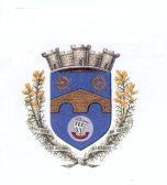 Wappen_Pont Aven.png