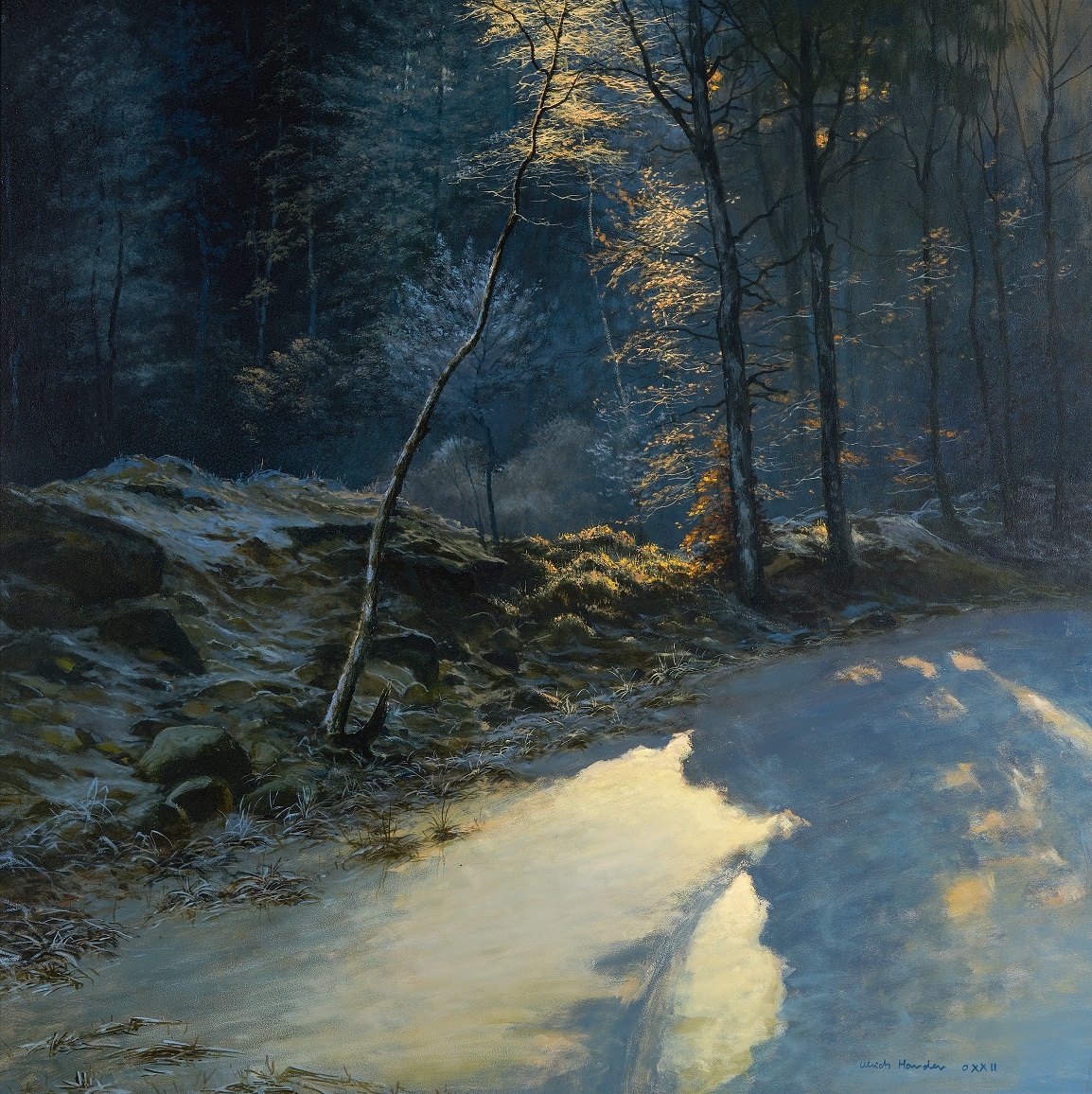 Ulrich Harder: Winterwald