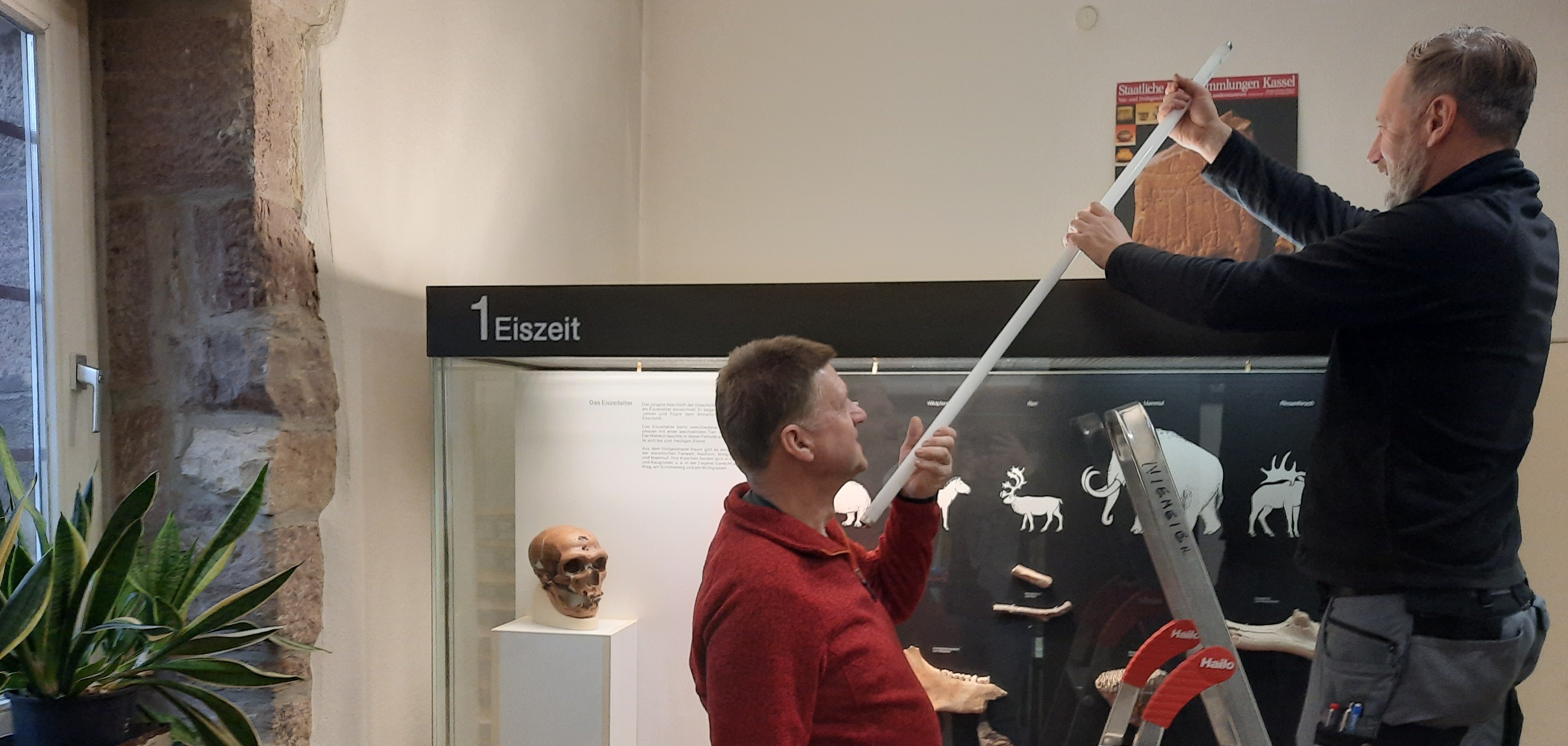 Neue LED-Beleuchtung für das Stadtmuseum Hofgeismar