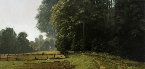 Harder_Weg am Waldrand_verkleinert.jpg